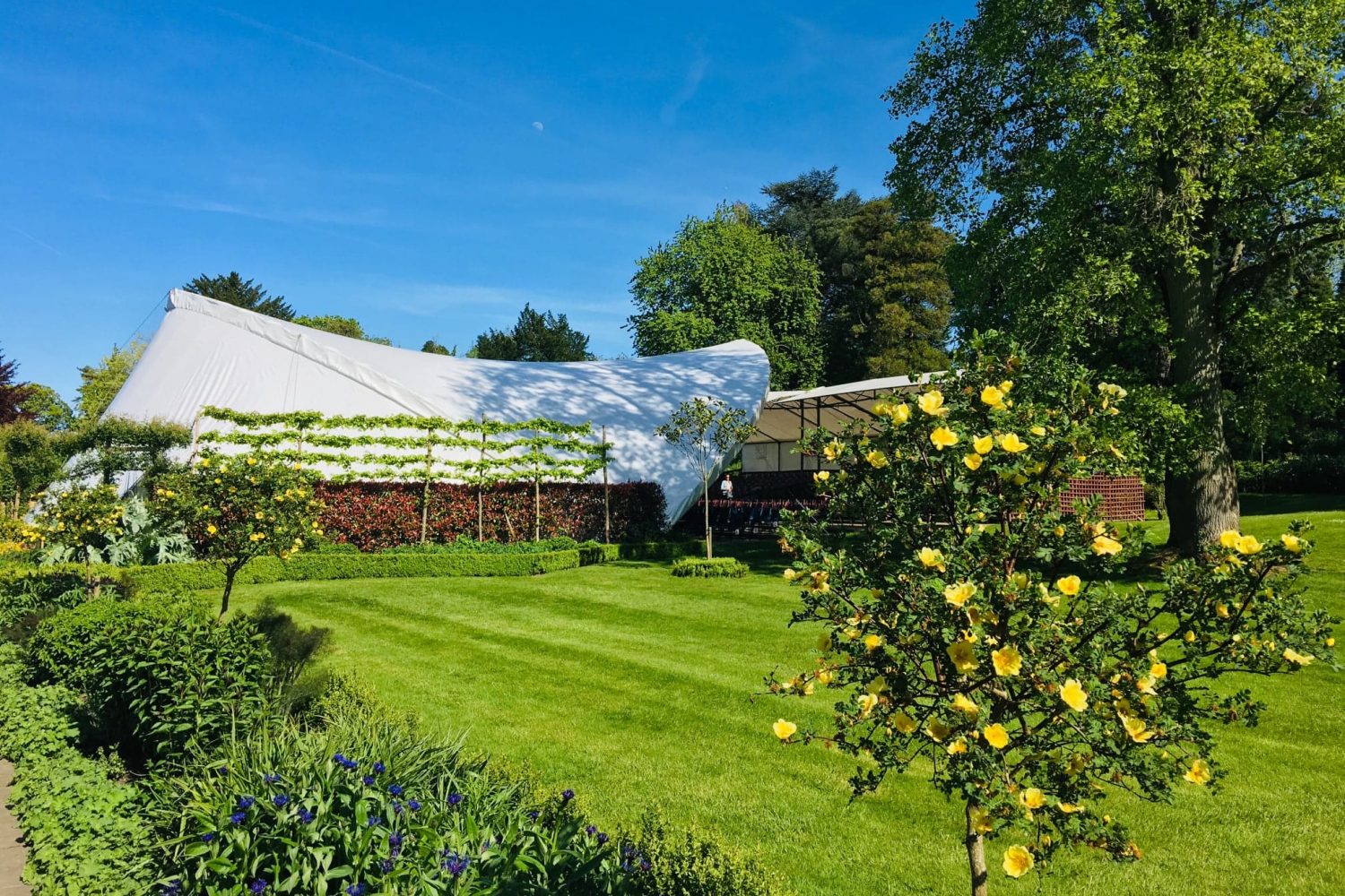 The Festival Theatre