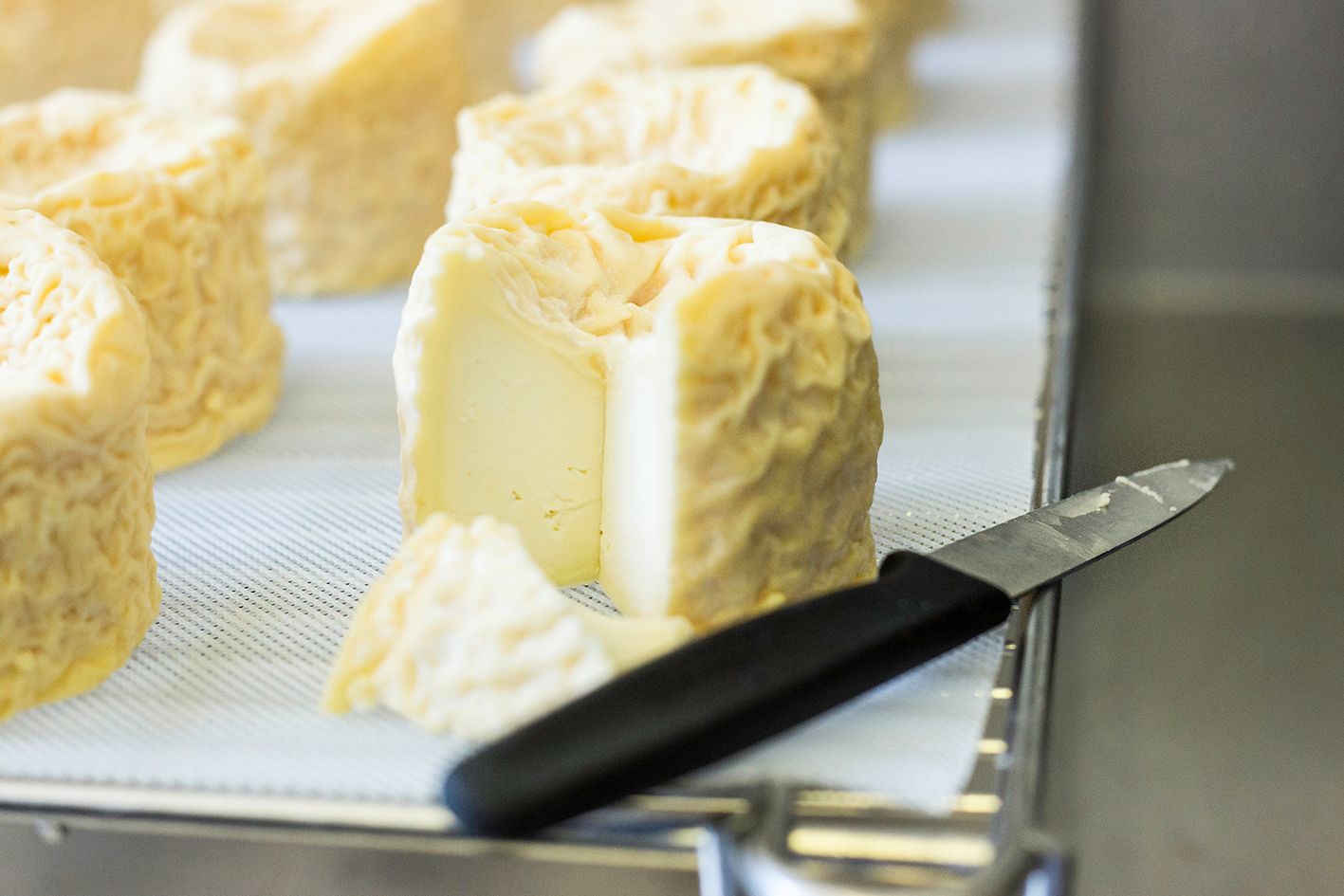 Blackwoods Cheese Company